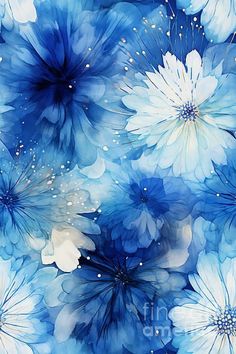 blue and white flowers with drops of water on them