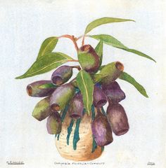 a drawing of a potted plant with purple flowers and green leaves on the top