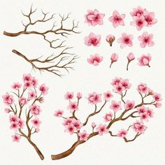 some pink flowers and branches are shown in this drawing, which is very similar to cherry blossoms