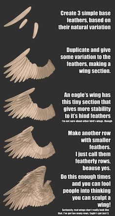 an info sheet describing the different types of wings