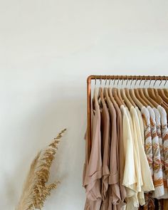 clothes hanging on a rack in front of a white wall and dried grass next to it