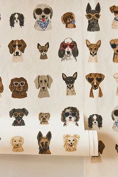 the wall has many dogs on it and is decorated with different types of stickers