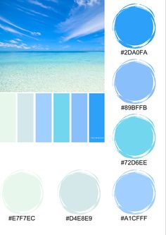 the color scheme is blue and white, with different shades to choose from in each section