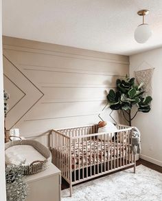 a baby's room with a crib, rug and potted plant in the corner