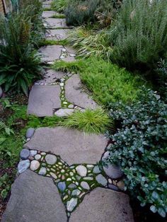 a stone path in the middle of a garden