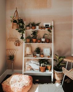 a living room filled with lots of potted plants next to a wall mounted shelf