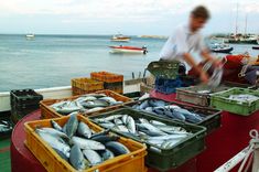 a man standing next to boxes filled with fish on top of a boat near the ocean