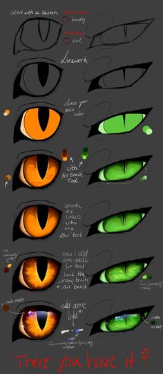 the different types of cats'eyes are shown in this drawing lesson, which shows how to