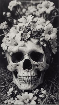 a black and white photo of a skull with flowers in it's head on the ground