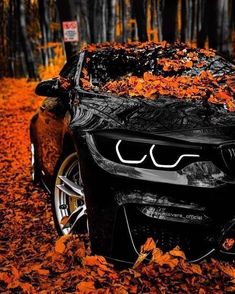 a black car parked in the middle of leaves