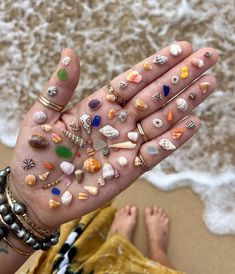 a person's hand with lots of sea shells on it