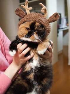 a woman holding a cat wearing a reindeer hat that says fluffy the flat - nosed reindeer