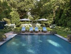 an outdoor swimming pool with lawn chairs and umbrellas in the middle, surrounded by greenery