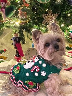 a small dog wearing a sweater in front of a christmas tree with ornaments on it