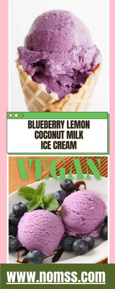 blueberry lemon coconut milk ice cream