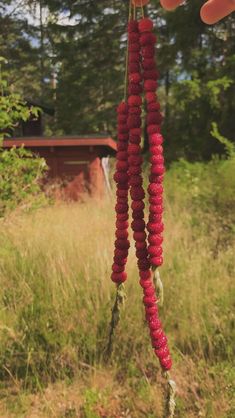 two long red beads hanging from a string in the middle of some grass and trees