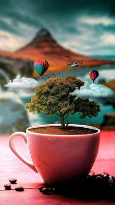 a cup with a tree in it and hot air balloons flying over the top of it