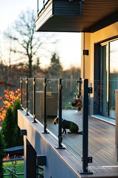 the cat is sitting on the deck looking out at the trees and grass outside in the evening