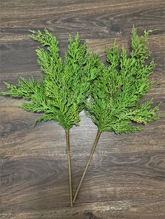 two small green plants on top of a wooden table next to another plant with long stems