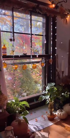 a window with lots of glass hanging from it's sides and plants on the windowsill