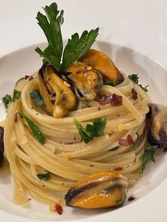 a pasta dish with clams and sauce on a white plate