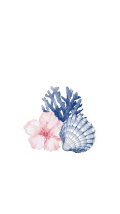 two seashells with pink flowers and blue seaweed on white background, watercolor painting