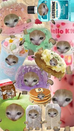 an image of two hamsters eating cake and ice cream