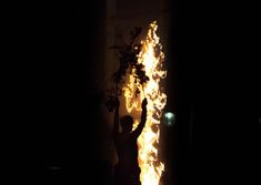 a man standing next to a fire hydrant in the dark with his arms up