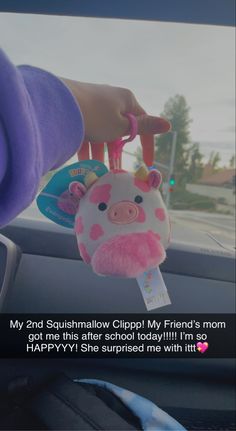 someone is holding a stuffed animal in their car with the caption, my 3rd gourmet cupcake my friend's mom got me this after school today i'm so happy