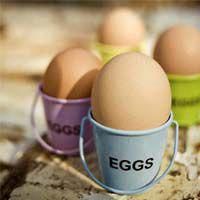 four eggs in buckets with the word eggs written on them, sitting next to each other