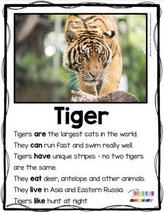 a poster with an image of a tiger on it's back and the words tiger in