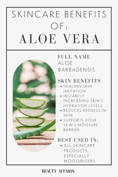 Do you know what the benefits of aloe vera are for your skin? This natural skincare ingredient is amazing for dry skin, reducing redness and so much more. Aloe Vera Skin Benefits, Natural Skin Care Ingredients, Natural Recipes, Skincare 101, Product Knowledge, Sustainable Beauty