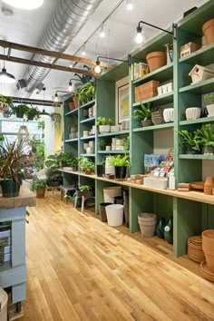 a room filled with lots of potted plants on shelves next to wooden flooring