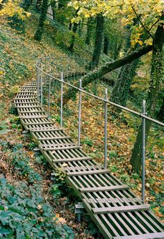 a set of metal stairs going up a hill in the woods with trees and leaves