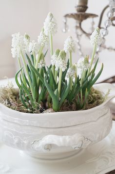 small white flowers are in a bowl on a table next to a chandelier