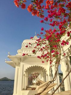 the gazebo is surrounded by pink flowers and blue skies in the background, along with water