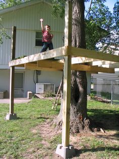 Tarp roof for the Tree House | Jimmy Cracked Corn Diy Tree House Ideas, Pallet Tree Houses, Diy Tree House, Cracked Corn, Simple Tree House, Tree House Ideas, Treehouse Ideas, Tree House Plans