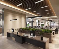 an empty office with plants on the desks