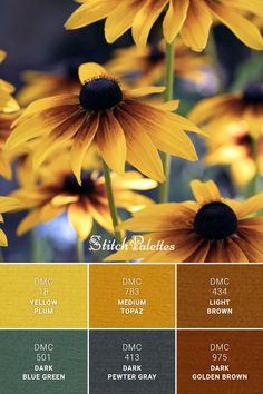 some yellow and brown flowers are in color swatches for the same image as each other