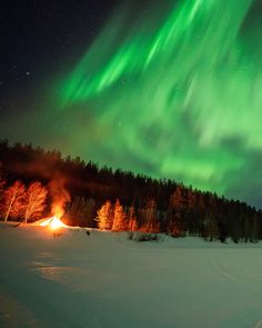 the aurora bore is glowing brightly in the night sky over a snow covered field and forest