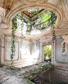 an abandoned building with ivy growing on the ceiling