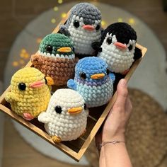 small crocheted birds sitting in a wooden box on a person's hand