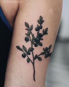 Olga Nekrasova blueberry botanical tattoo Botanical Tattoo Ideas, Blueberry Tattoo, Mother Nature Tattoos, Branch Tattoo, Elbow Tattoos, Blue Tattoo, Plant Tattoo, Botanical Tattoo, Top Tattoos