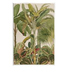 a painting of tropical plants and trees on a white background with green leaves in the foreground