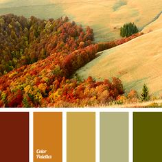 the colors of autumn are in shades of brown, green, and yellow with trees on each side