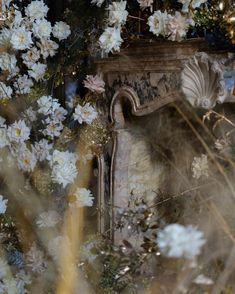 white flowers are growing around an old tombstone