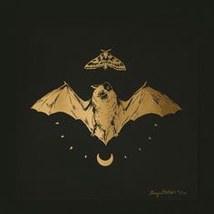 a bat flying in the night with a moth above it's head on a black background