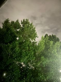 the sky is very cloudy and there are many trees in front of it with one light on