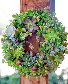 a wreath with succulents hanging on a wooden post