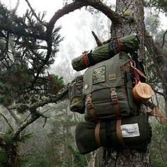 a backpack is hanging from a tree in the middle of a forest with other items on it